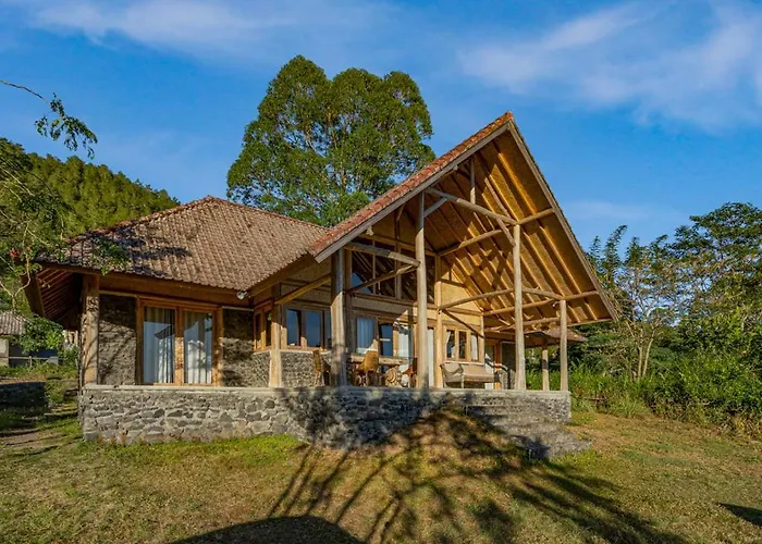 Manoka * Kintamani