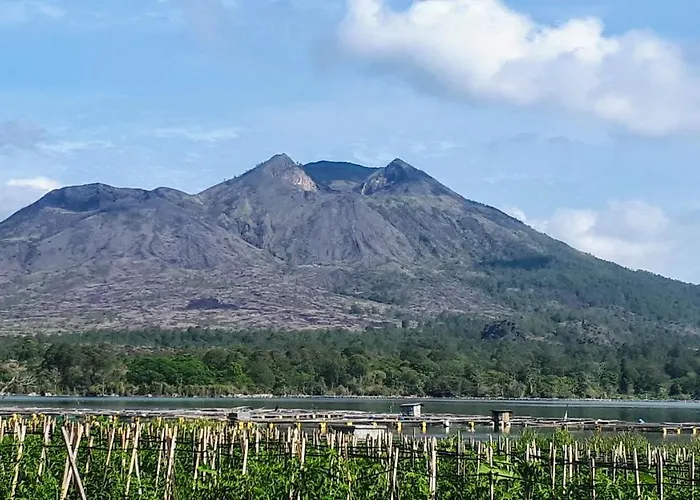 Manoka * Kintamani