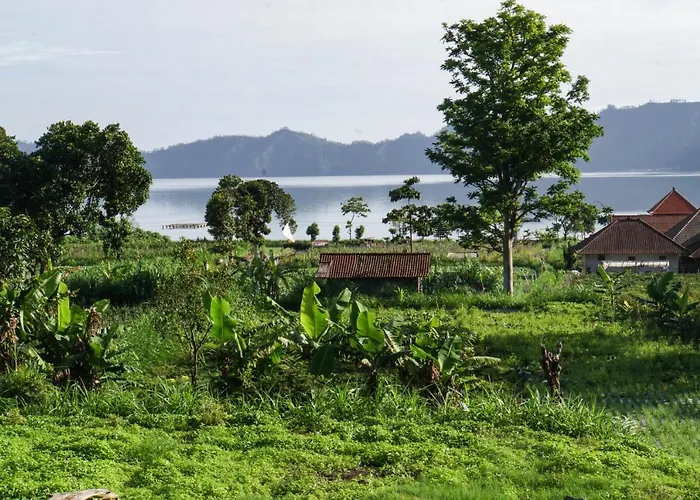 Manoka
